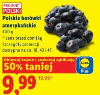 Polskie borówki amerykańskie