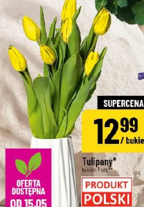 Tulipany