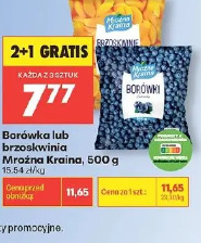 Borówka lub brzoskwinia Mrożona Kraina