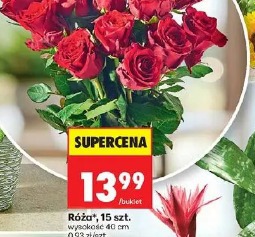Róża, 15 szt.