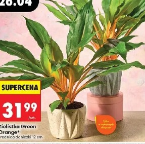 Zielistka Green Orange