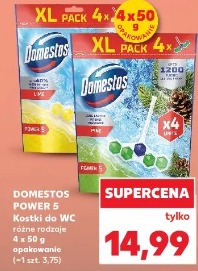 Domestos Power 5 Kostki do WC różne rodzaje