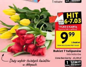 Bukiet 7 tulipanów mix kolorów