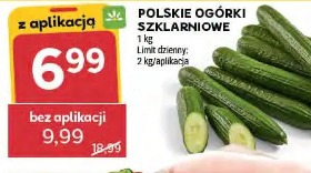 Polskie ogórki szklarniowe