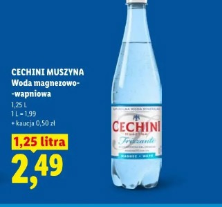 Cechini Muszyna Woda magnezowo-wapniowa