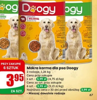 Mokra karma dla psa Doogy