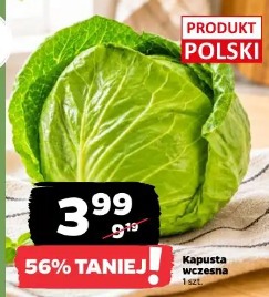 Kapusta wczesna