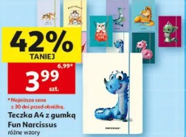 Teczka A4 z gumką Fun Narcissus