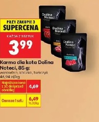 Dolina Noteci karma dla kota