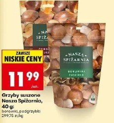Grzyby suszone Nasza Spiżarnia