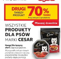 Wszystkie produkty dla psów marki Cesar
