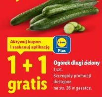 Ogórek długi zielony