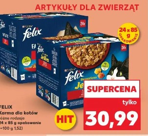 Felix Karma dla kotów