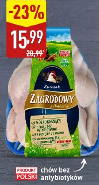 Kurczak zagrodowy