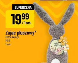 Zając pluszowy MCD