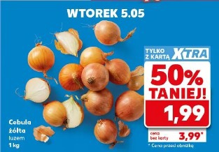 Cebula żółta