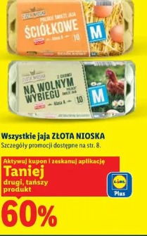 Wszystkie jaja Złota Nioska