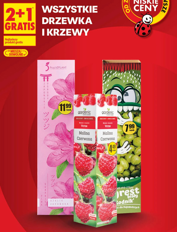 Wszystkie drzewka i krzewy