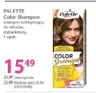 Palette Color Shampoo szampon koloryzujący do włosów
