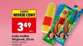 Lody wodne Wojanek