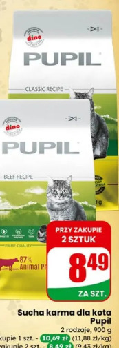 Pupil sucha karma dla kota