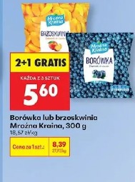 Borówka lub brzoskwinia Mroźna Kraina