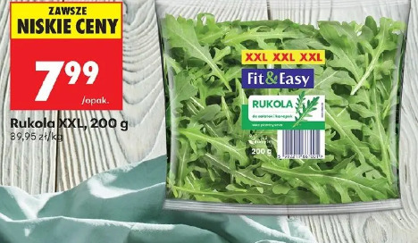 Rukola XXL Fit & Easy