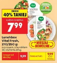 Lunchbox Vital Fresh