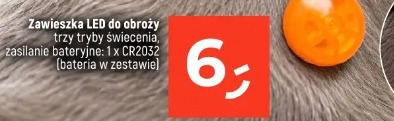 Zawieszka LED do obroży