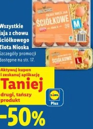 Wszystkie jaja z chowu ściółkowego Złota Nioska