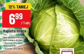 Kapusta młoda