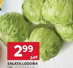 Sałata lodowa