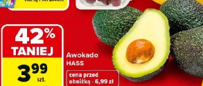 Awokado Hass