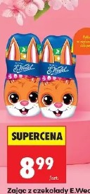 Zając z czekolady E.Wedel