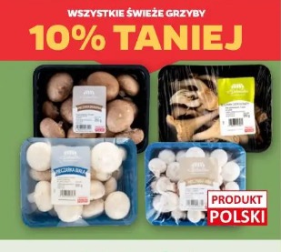 Wszystkie świeże grzyby