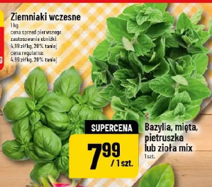 Bazylia, mięta, pietruszka lub zioła mix
