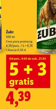 Żubr