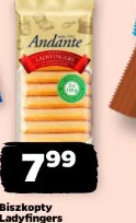 Biszkopty Ladyfingers Andante