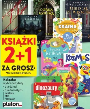 Książka wybrane tytuły platon