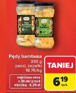 Pędy bambusa