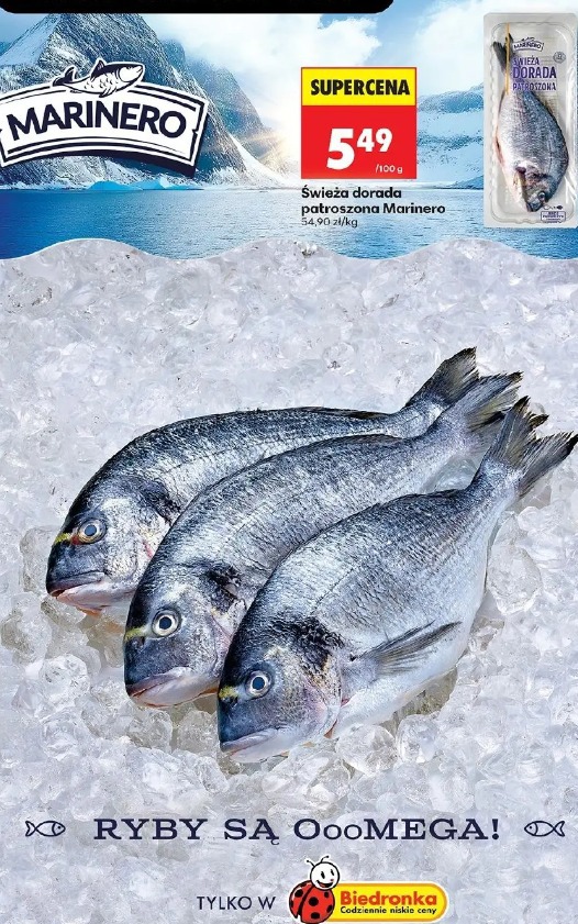 Świeża dorada patroszona Marinero