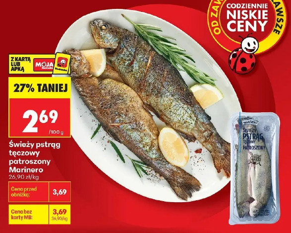 Świeży pstrąg tęczowy patroszony Marinero