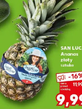 San Lucar Ananas złoty