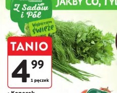 Koperek