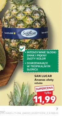 San Lucar ananas złoty