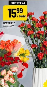 Goździki