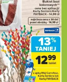 Bukiet bazi kolorowych