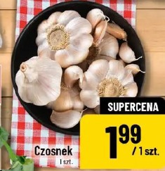 Czosnek