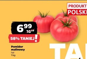 Pomidor malinowy