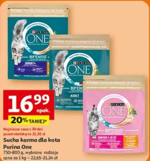 Sucha karma dla kota Purina One